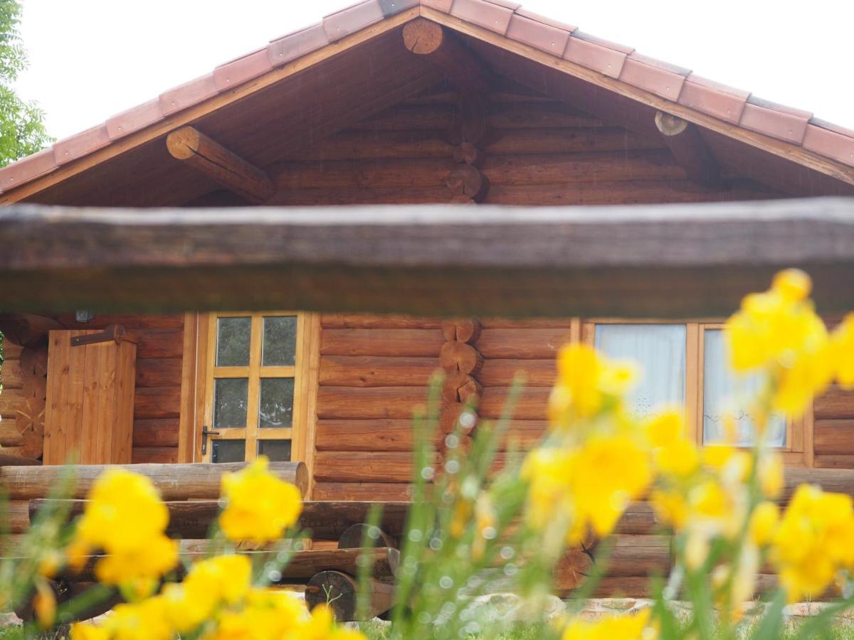 Mas Cal Sastre Guest House ซานต์ ฮิลาริ ซาคาล์ม ภายนอก รูปภาพ