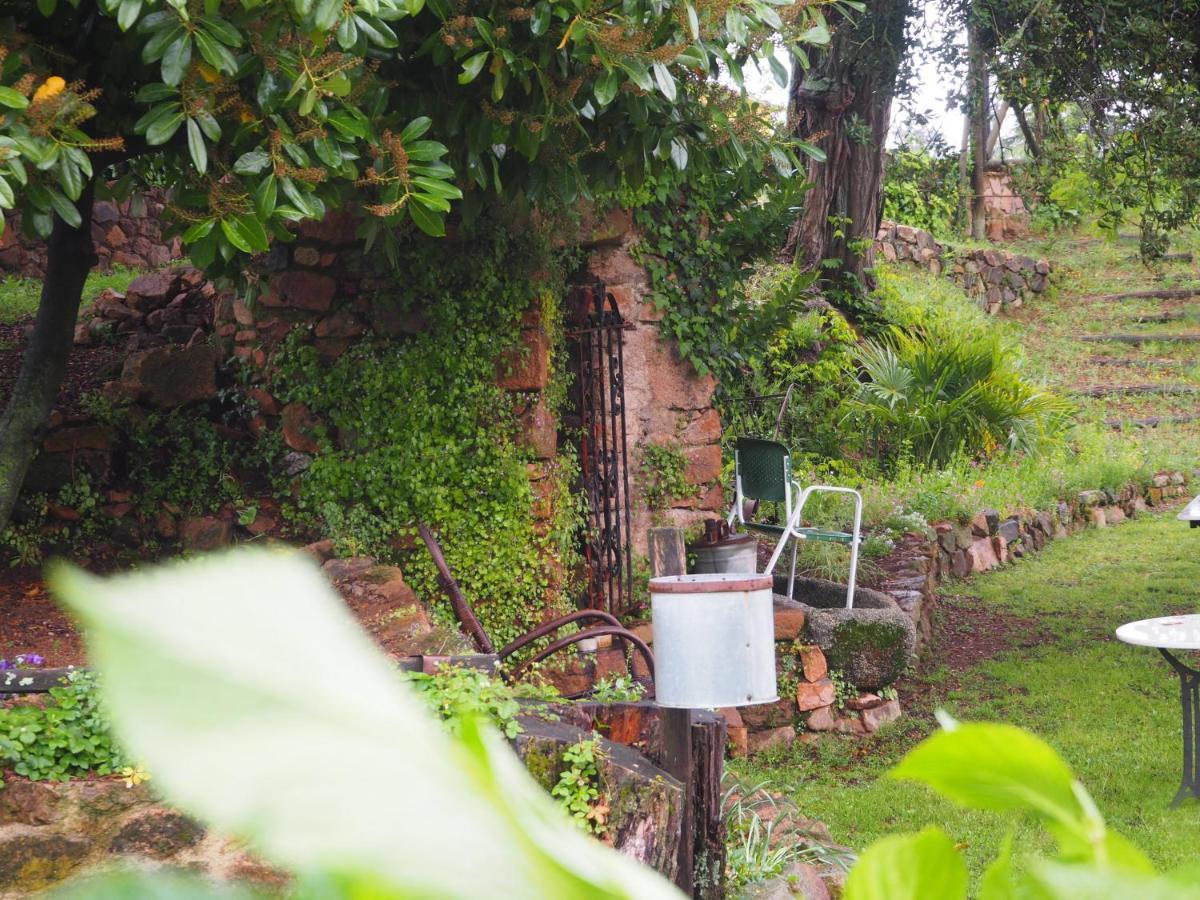 Mas Cal Sastre Guest House ซานต์ ฮิลาริ ซาคาล์ม ภายนอก รูปภาพ