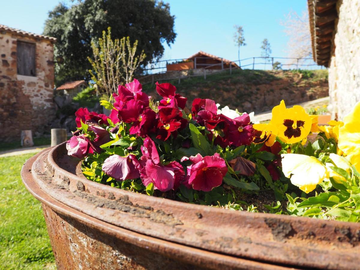 Mas Cal Sastre Guest House ซานต์ ฮิลาริ ซาคาล์ม ภายนอก รูปภาพ